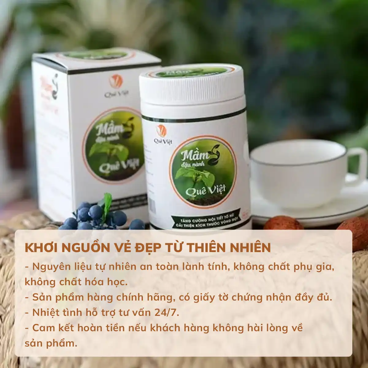 khơi nguồn vẻ đẹp thiên nhiên mầm đậu nành quê việt