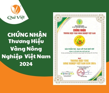 Trà Gạo Lứt Quê Việt vinh dự nhận giải thưởng “Thương hiệu Vàng Nông nghiệp Việt Nam 2024”